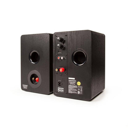 S100 Stereo Powered Speakers